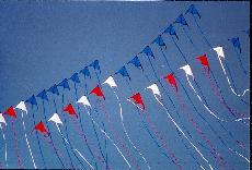 kites.jpg (8904 bytes)